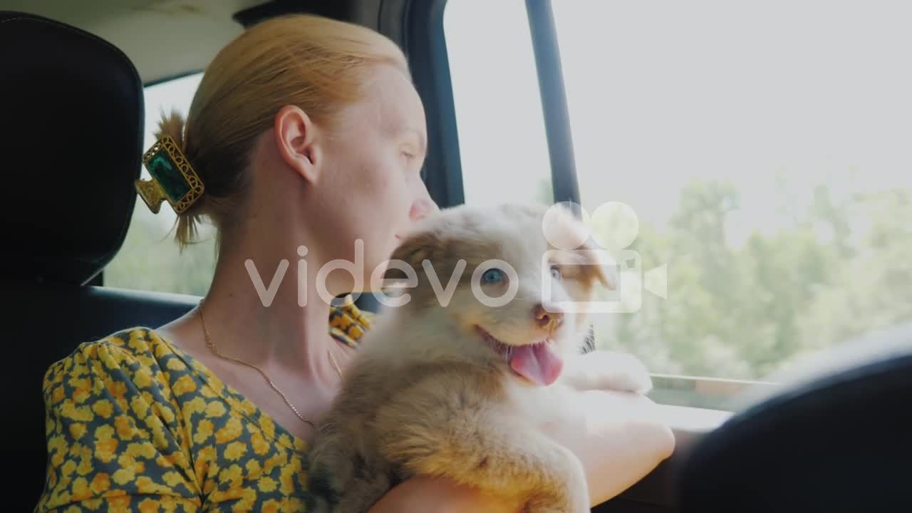 A Woman With A Pet Travels In A Car Looking Out The Windo