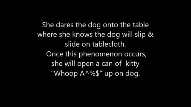 Cat vs. Dog Who Will Win?