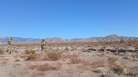 Hiking - Shadow Mountain, Pahrump, NV 89060 - 20240926T154854