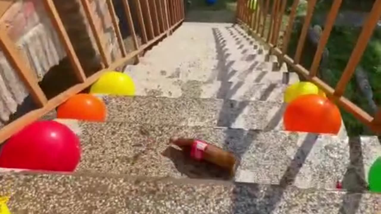 Amazing short satisfying videos| short video
