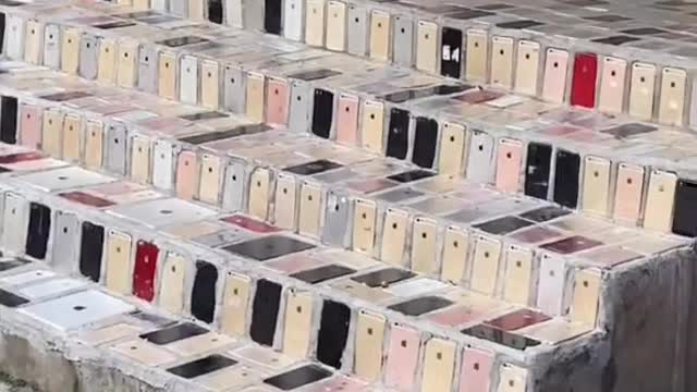 IPhone Lovers