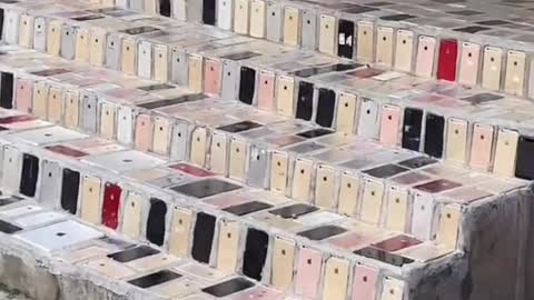 IPhone Lovers