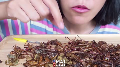 FRIED BUGS Extreme Crunchy EATING SOUNDS