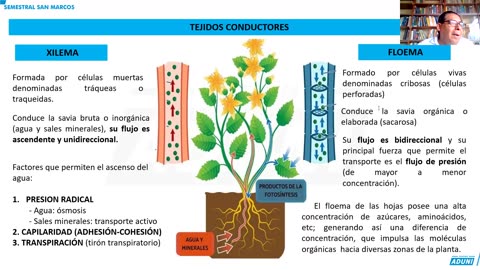 SEMESTRAL ADUNI 2024 | Semana 12 | Biología | Filosofía