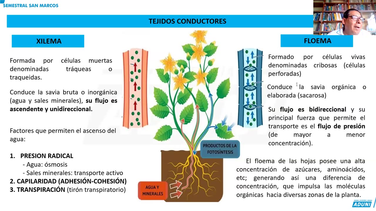 SEMESTRAL ADUNI 2024 | Semana 12 | Biología | Filosofía