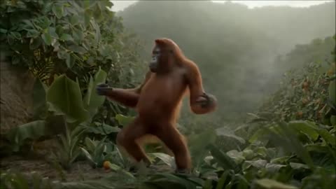 Monky dance