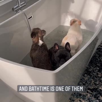 We were betrayed 😔