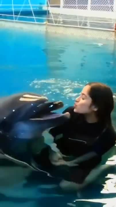 Sweet Dolphin 🐬 Got A Beautiful Kiss 😘 Trendy Video
