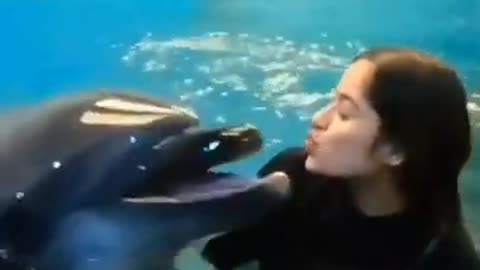 Sweet Dolphin 🐬 Got A Beautiful Kiss 😘 Trendy Video