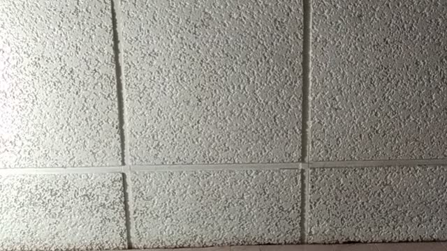 Hello friends that do not lie about me..1.31.2022