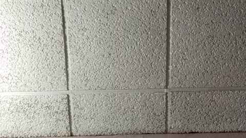 Hello friends that do not lie about me..1.31.2022