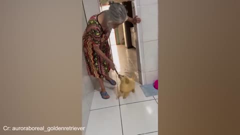 động vật funny phần 35
