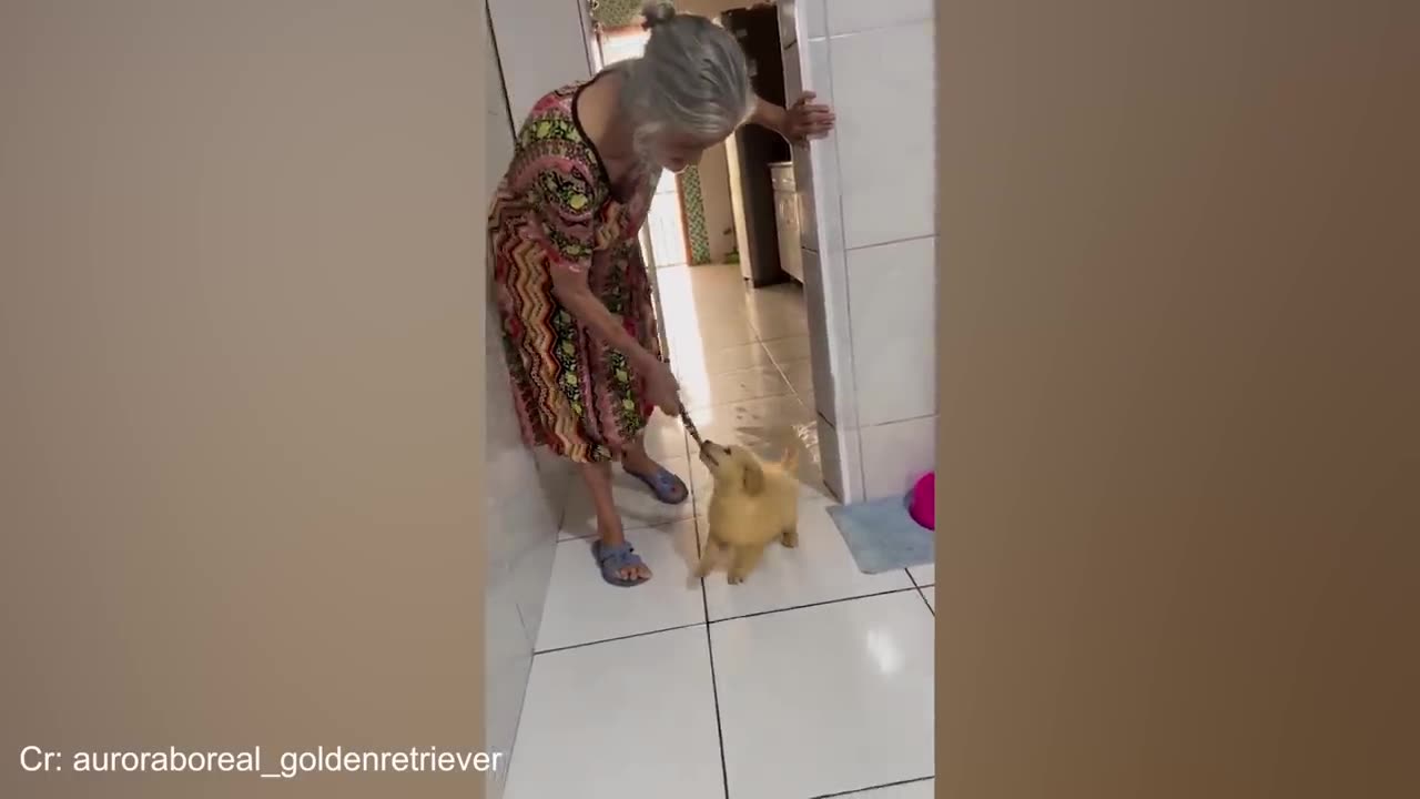 động vật funny phần 35