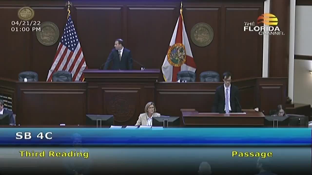 Dems Lose It During Florida House Vote Stripping Disney's Self Government