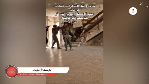 Based Palestinian Mouse Sends Isrealshit troops Running