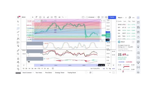 Basics to Investing - Norwegian Cruise Line NCLH - Stock Charts #084