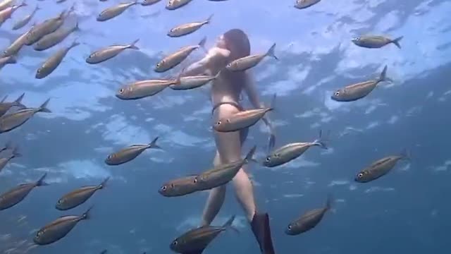 A beautiful girl swimming under the sea