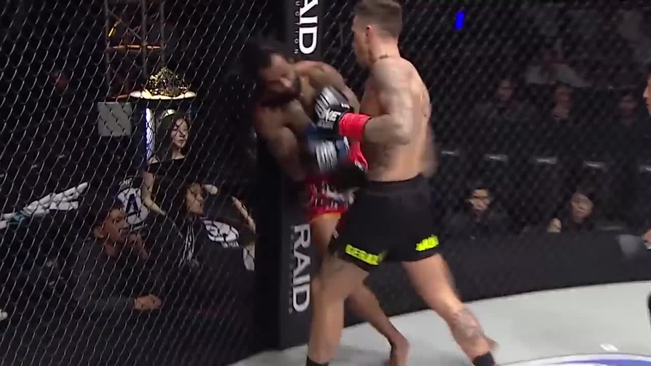 The most brutal MMA knockout