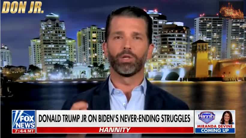 Donald Trump Jr, New Platform