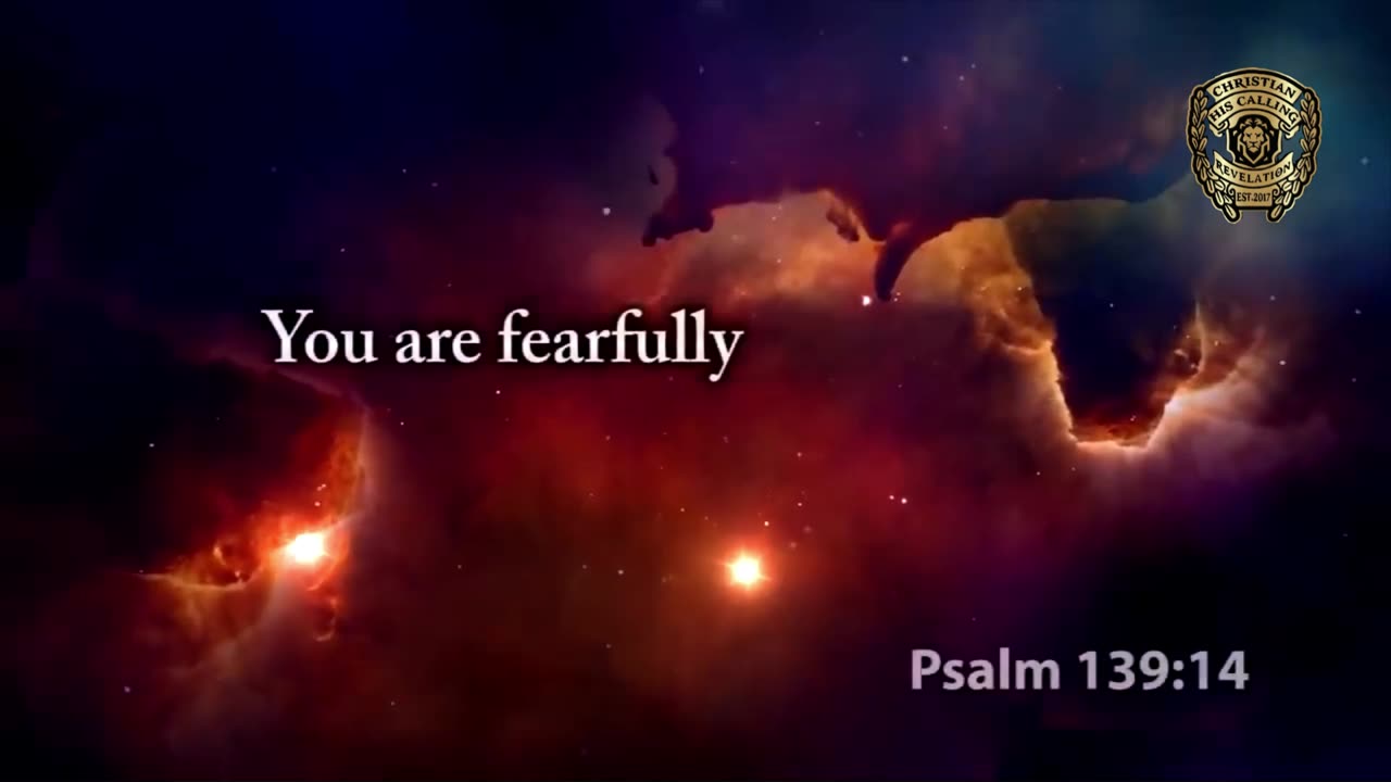 HCNN - MESSAGE FROM YOUR FATHER.