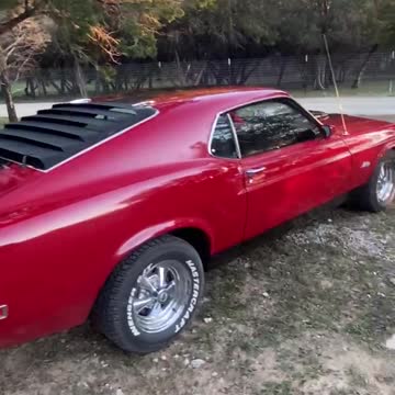 Shine and Cruise Today