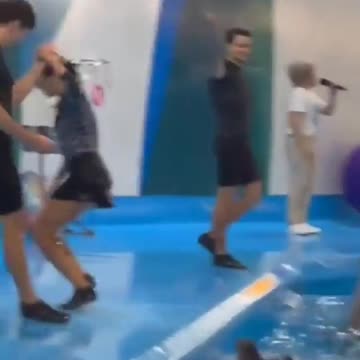 The dolphins are performing