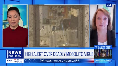 Dr. Anthony Fauci hospitalized with West Nile virus | NewsNation Now
