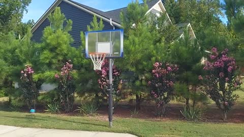 Epic frisbee trick shot!