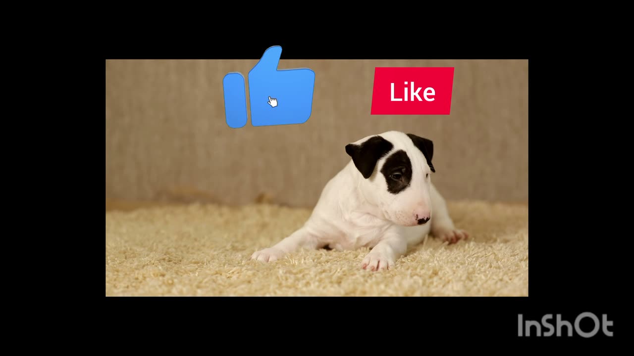 https://youtu.be/6Rv7wLHQzbs?si=TjLhxpIOgKRretFQ