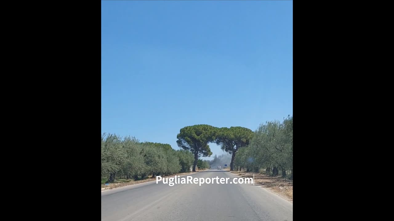 Incendio sulla Barletta - Margherita di Savoia, fumi invadono la carreggiata (9 agosto 2024)