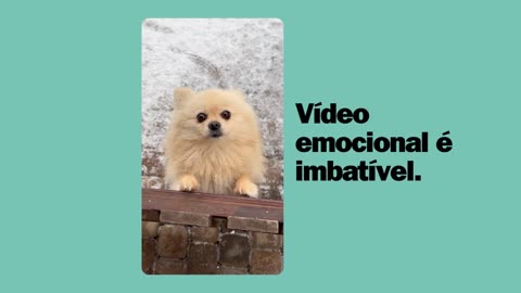 O que funciona mais?