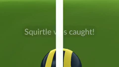 Pokémon GO-Sunglasses Squirtle