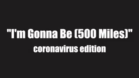 The covid 19 song