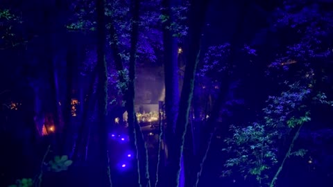 2024 BOHEMIAN GROVE CREMATION OF CARE LEAKED
