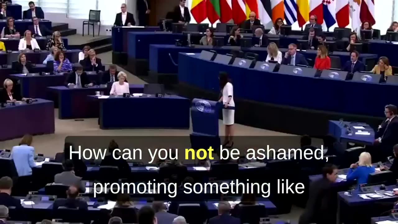 What Do People Think Of The European Commission