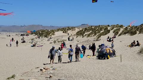Morro Bay kite festival