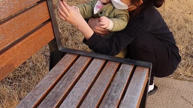 The baby keeps trying to eat the leaves.