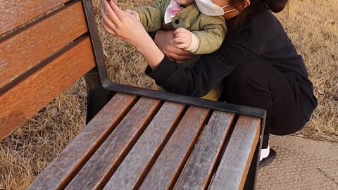 The baby keeps trying to eat the leaves.