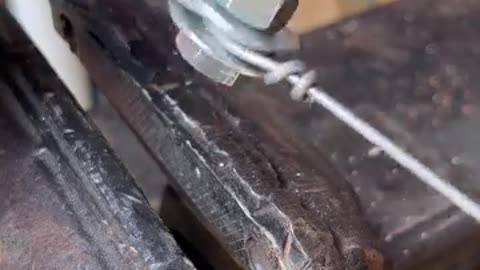 Science and technology
