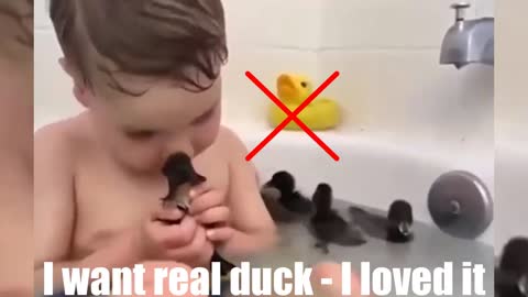 I want real duck - I loved it.