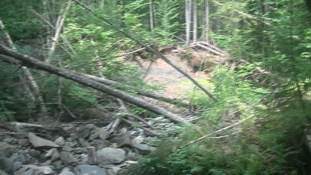 Barker Brook Erosion