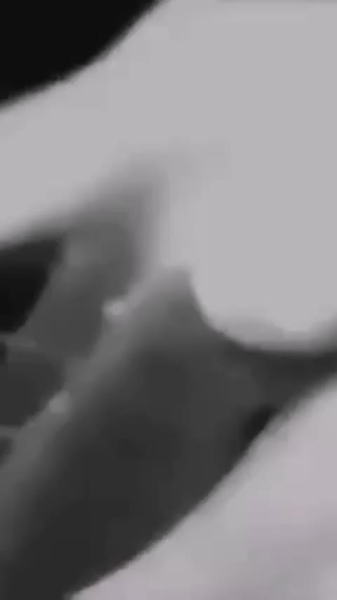 autopsy anatomy gray video contains bizarre scenes