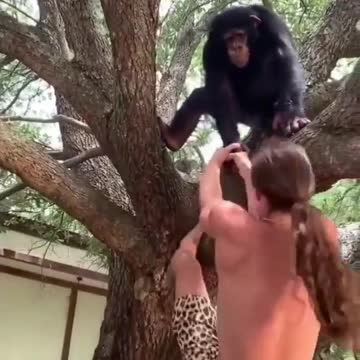 This animal is a true helper