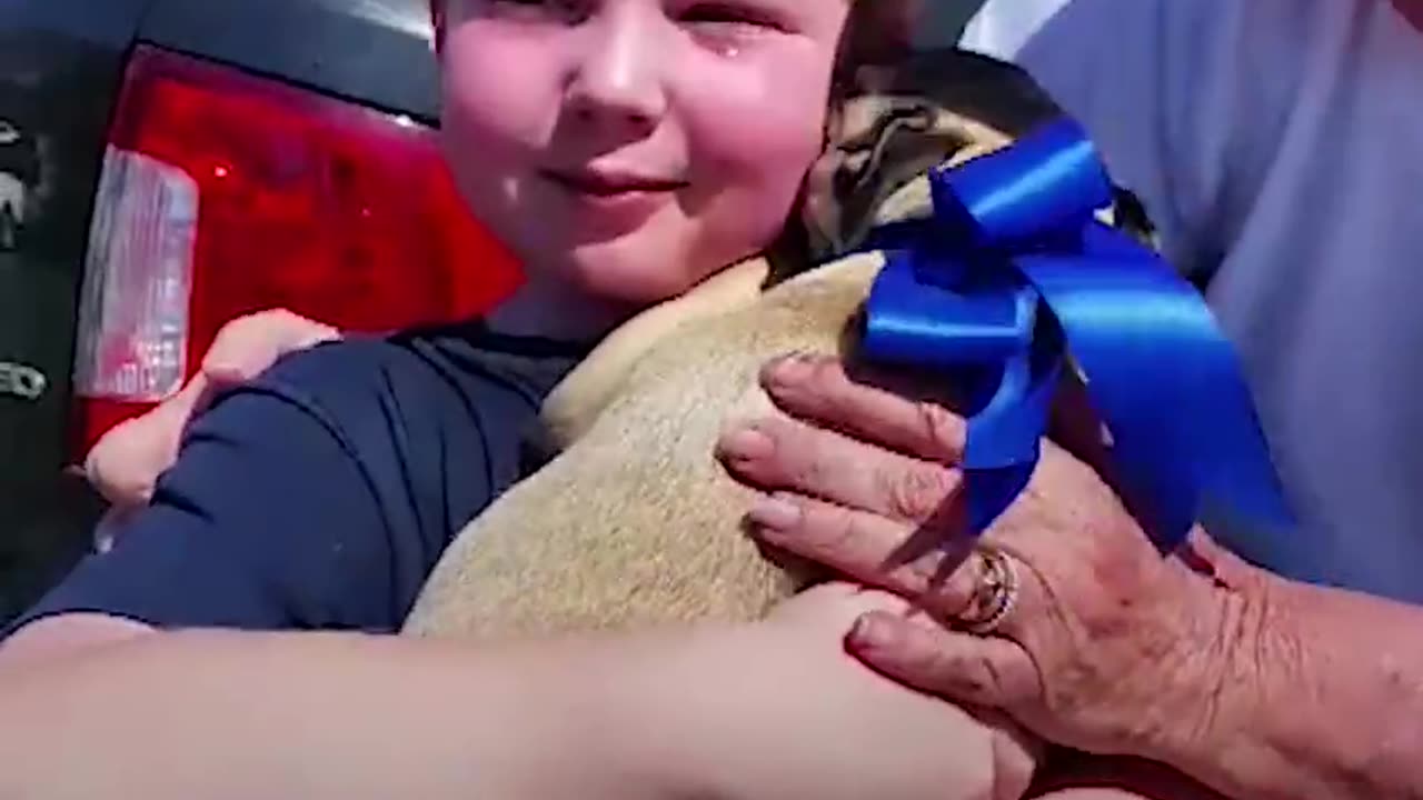 Kid Surprised With Dog He Fostered For His Birthday | The Dodo