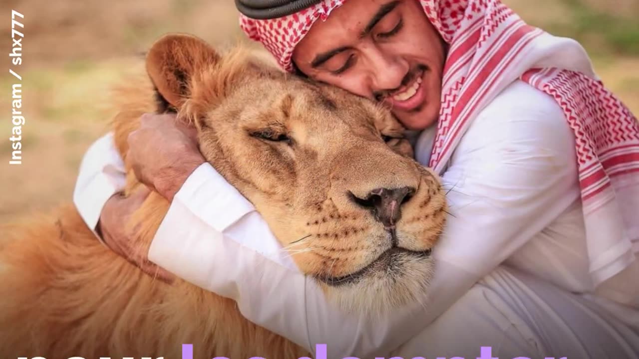do you play with wild animals