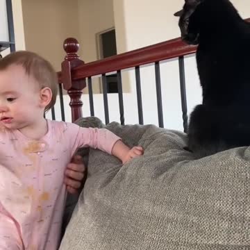 No babies were harmed in the making