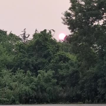 Rare footage of movement from the sun. watch closely..