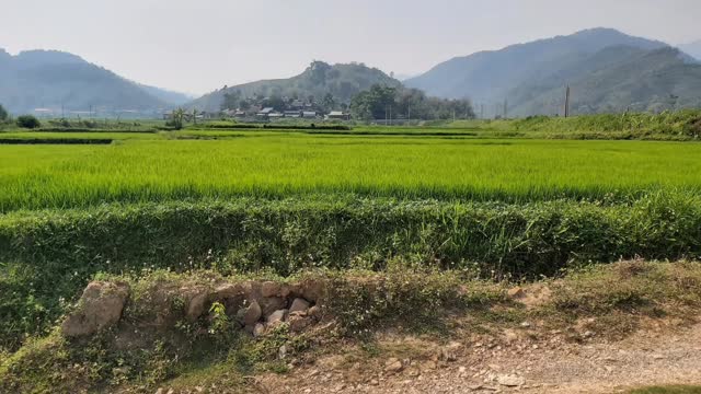 the beauty of the countryside