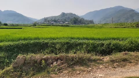 the beauty of the countryside