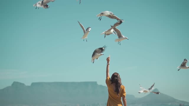 A woman feeding flying seagulls, a very rare moment with the sea birds